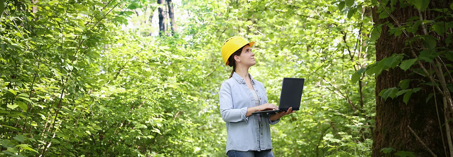 Banner showcasing Forest Giant's Sustainable Cloud Journey with HCL