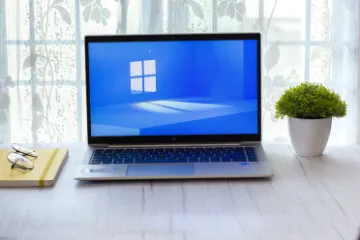 Windows Endpoint Extended Support (ESU)